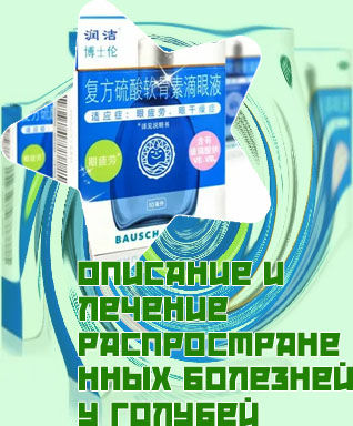 Капли для глаз голубей